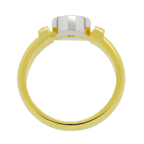 Herrenring Siegelring aus Gold