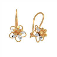 Goldene Damenohrringe aus Rotgold 585