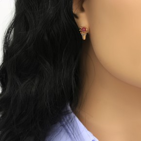 Earrings with stone